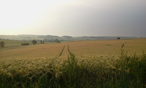 SHA_Hohenlohe-Wolpertshausen-Banzhaf 30.06.12