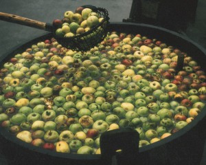 Köstliche Beilage zum Rehrücken