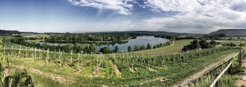 © Winzer vom Weinsberger Tal