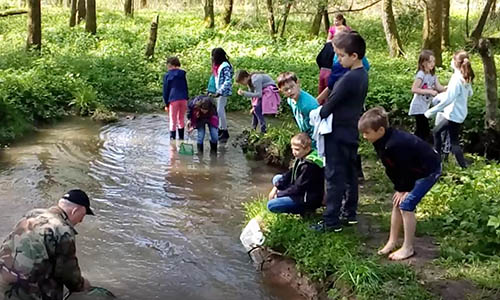 Untersuchung der Wasserlebewesen in der Bibers mit den Schülerinnen und Schülern der Klasse 4 der Josef-Helmer-Schule Waldenburg zusammen mit Herrn Strack vom Angel-Sport-Club Waldenburg
