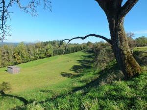 Faszination im Klingener Tal