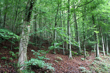02 02 GeoTour Marxzell