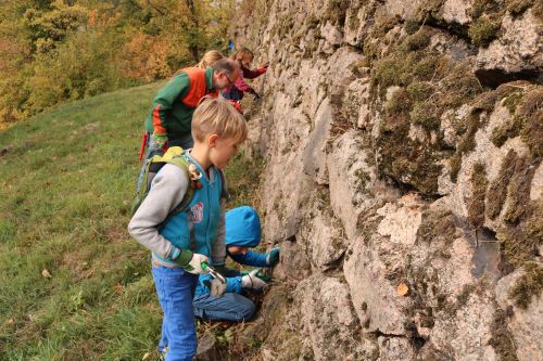 2018 10 23 Herzenssache Natur Bühlertal 04 Artikelbild 2018 10 23 Herzenssache Natur Bühlertal 04 Artikelbild Herzenssache Natur erfolgreiche Landschaftspflege