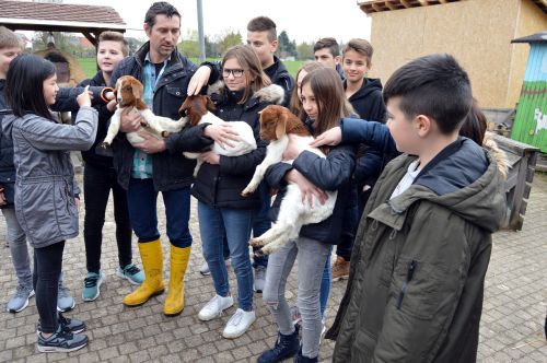 2019 04 08 Kooperatonsvereinbarung Naturpark Schule Realschule Gaggenau 2 2019 04 08 Kooperatonsvereinbarung Naturpark Schule Realschule Gaggenau 2 Erste Realschule wird Naturpark Schule