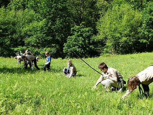 Auf der Suche nach dem alten Adlerfarn: Helfer pflegen Wiesen im Reichenbachtal.