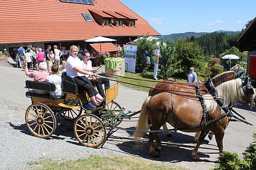 Viele Höfe bieten ein Rahmenprogramm, zum Beispiel mit Kutschfahrten (Foto: qu-int Werbeagentur)