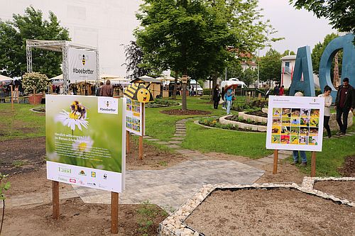 Der "Bienenerlebnisgarten“ auf dem Burda-Gelände entstand innerhalb weniger Wochen und ist sowohl Lebensraum und Nahrungsquelle für Wildbienen als auch Lehrpfad für Mitarbeiter und (angemeldete) Besucher. (Foto: Dangel/Naturpark)