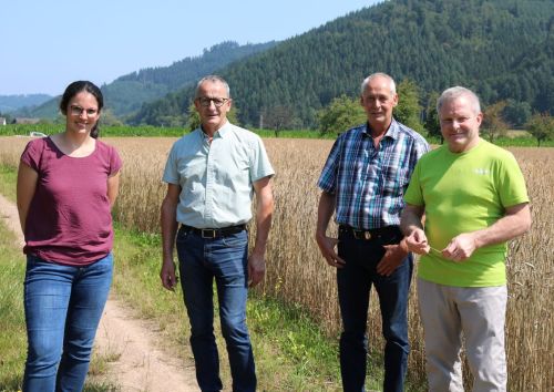 2021 07 23 Naturpar Brot Getreideernte1 2021 07 23 Naturpar Brot Getreideernte1 Korn für Naturpark Laib geerntet