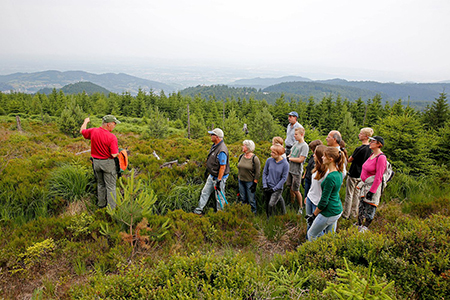 Baden Baden Baden Baden Freiwillige für Herzenssache Natur gesucht
