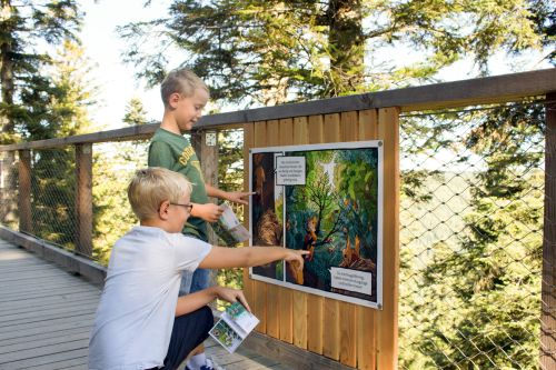 ComicRallye c Erlebnis Akademie AG ComicRallye c Erlebnis Akademie AG Mit Kindern in der Natur