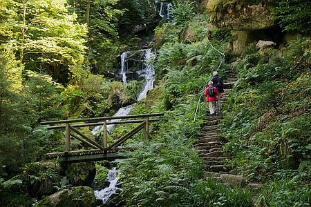 Gertelbachschlucht 1 Artikelbild Gertelbachschlucht 1 Artikelbild Gertelbachschlucht: Tosendes Erlebnis