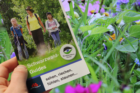 Guides Guides Neues Jahresprogramm