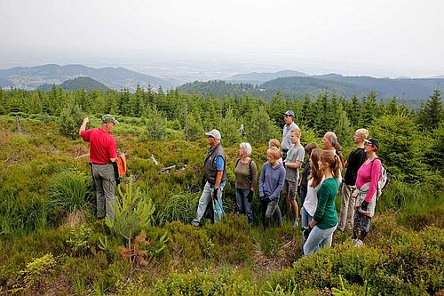 Nachhaltiges Engagement: Der Lebensraum der Auerhühner bedarf der regelmäßigen Pflege. (Foto: Naturpark Schwarzwald Mitte/Nord)