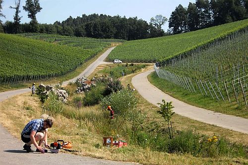 Jedes Jahr packen viele ehrenamtliche Helfer in Kappelrodeck tatkräftig mit an. (Foto: Gemeinde Kappelrodeck)