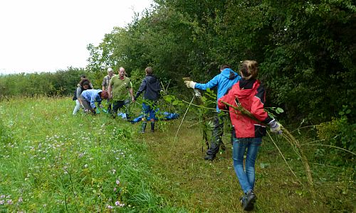 Herzenssache Ettenheim 500 Herzenssache Ettenheim 500 Hilfe für die Orchideen