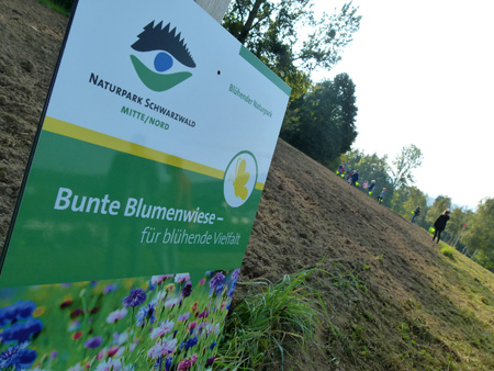 Karte 2017 Karte 2017 Neue interaktive Karte zeigt Standorte von Wildblumenwiesen