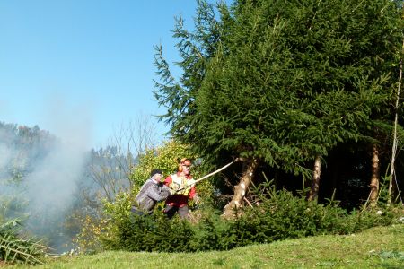 In Schutterwald werden auf einer Brachfläche und in einem Nasswiesenbiotop Gehölze und Sträucher zurückgeschnitten. Foto: Naturpark Schwarzwald Mitte/Nord