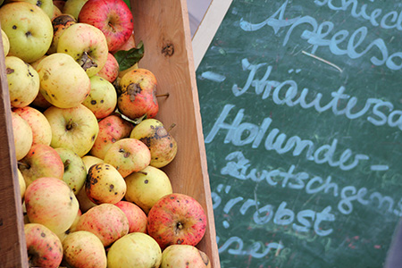 Markt3 Markt3 VALOR Lehrpläne werden entwickelt
