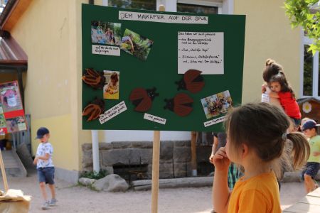 Zu jedem Projekt haben die Kinder ein Plakat zum Thema gebastelt. Auch die Maikäfer aus Filz haben sie selbst hergestellt. Foto: Gundi Woll/Naturpark Schwarzwald Mitte/Nord