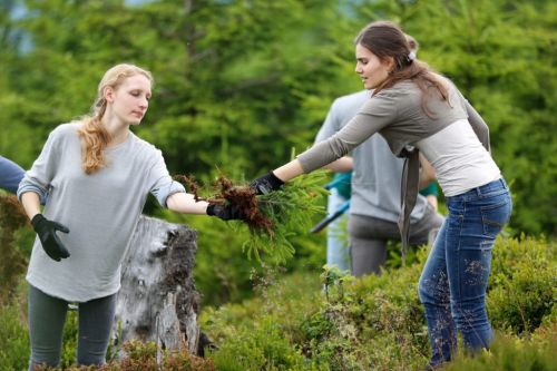Bei den "Herzenssache-Natur"-Aktionen helfen viele Ehrenamtliche mit, die Landschaft offen zu halten. (Foto: Naturpark Schwarzwald Mitte/Nord)