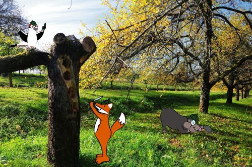 Naturpark Detektive Herbst Naturpark Detektive Herbst Abenteuer Streuobstwiese