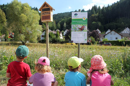 Projekte02 Projekte02 Naturpark fördert 2020 mehr als 60 Projekte