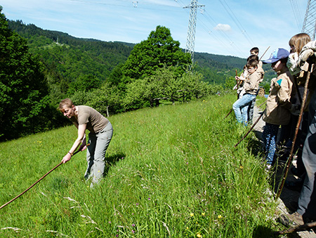 Reichenbachtal02 Rund 30 Freiwillige „schlägeln“ für die Artenvielfalt