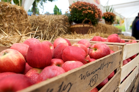 TBW Markt Ruhestein mittel TBW Markt Ruhestein mittel Ausflugsziel mit kulinarischen Höhepunkten