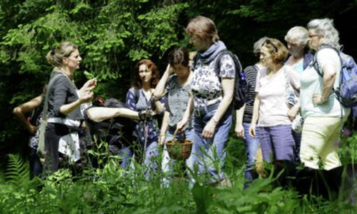 Veranstaltungen Kräuter Flammkuchen Schwarzwald Guide Tour: Wildkräutertour mit Flammkuchen