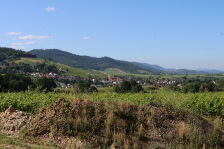 Weingut Kopp ist Naturparkpartner 2 Weingut Kopp ist Naturparkpartner 2 Weingut Kopp wird Naturpark Partner