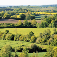 <Ausgeheckt – Lebensraum Hecke