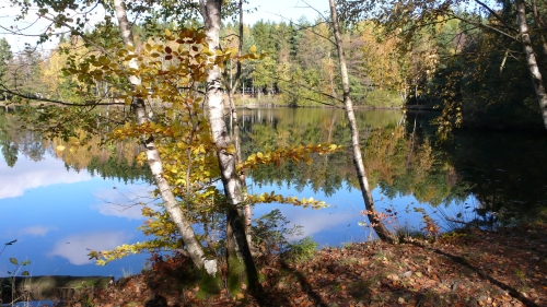 Waldsee Argenthal (c) Naturpark Soonwald-Nahe