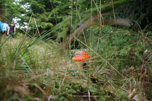 (c) Naturpark Soonwald-Nahe