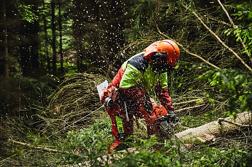 (c) Naturpark Soonwald-Nahe/Bender