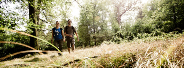 Wandern im Naturpark (c) Naturpark Soonwald-Nahe