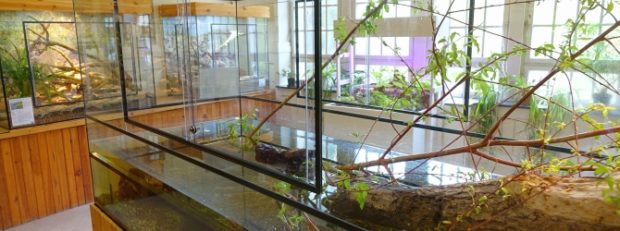 Naturstation Bad Münster am Stein-Ebernburg (c) Naturpark Soonwald-Nahe