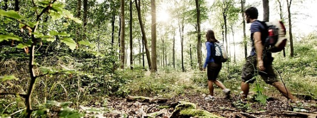 Waldreich: Der Naturpark Soonwald-Nahe (c) Naturpark Soonwald-Nahe