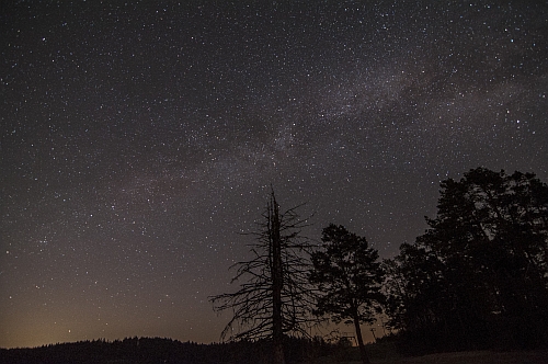 (c) VDN/Franz Vozeler-Pape