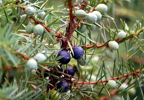 (c) VDN/Dieter Lorenz