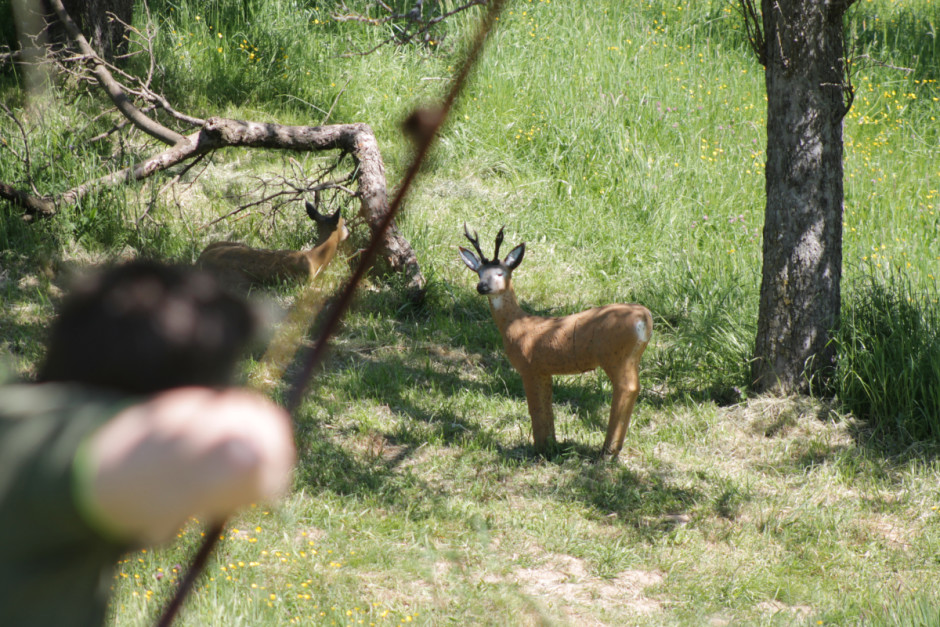 18 05 06 12 36 16 4272x2848px 940x627 18 05 06 12 36 16 4272x2848px 940x627 Herr Goll, die treibende Kraft der 3D Bogenregion