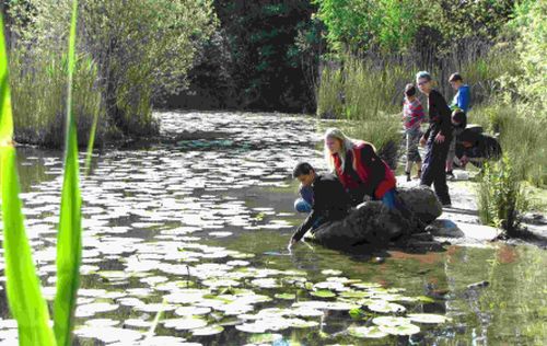 Am See 3 Am See 3 Jubiläumsfeier des Landesbund für Vogelschutz Kleinostheim