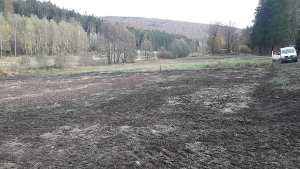 Angesäte Wiesenflächen im NSG Weihersgrund - Foto Christian Salomon1