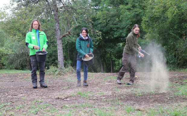 Ansaat am Reischberg mit Gebietsbetreuer Christian Salomon, Naturschutzfachkraft Hannah Diehl, Naturpark-Rangerin Victoria Schuler (von links) (Foto Victoria Schuler)