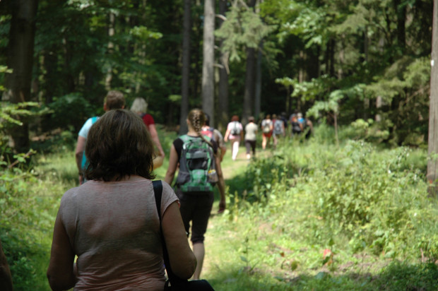 Naturpark-Führungen sind immer wieder ein großes Erlebnis (Foto: Franz Saur)