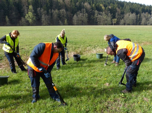 MitarbeiterInnen der Sinntaler Firma Mehytec und Obersinns Bürgermeisterin Zieres beim Ausstechen der Giftpflanzen (Bildautor: Julian Bruhn)