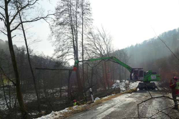 Zur Auflichtung der Weidefläche und zur Verkehrssicherung werden Gehölze entnommen  (Foto: A. Gries)