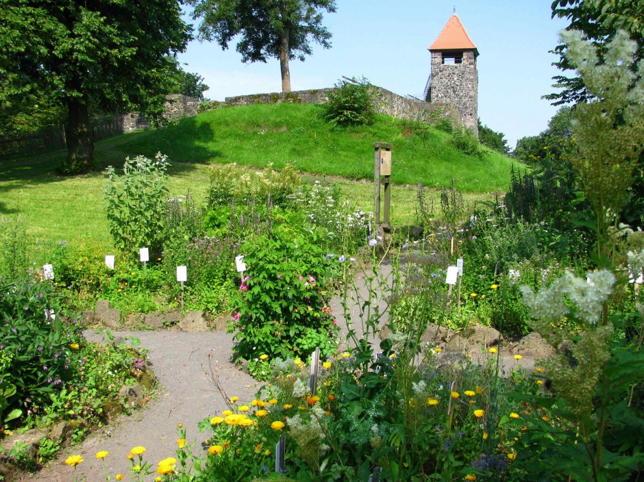 Kräutergarten im Sommer-(c)- VDNS. Jost- Hoher Vogelsberg