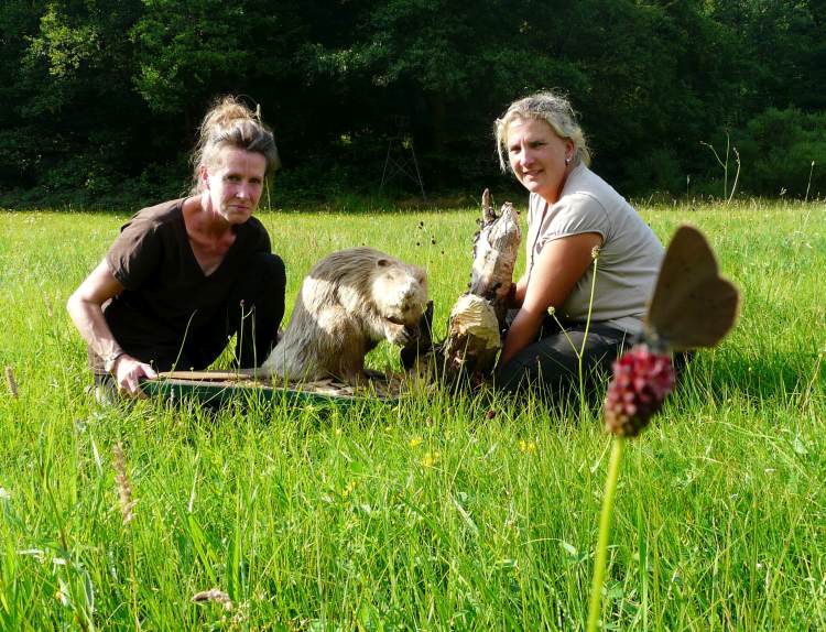 Zwei Frauen, die sich im Naturschutzgebiet Spessartwiesen engagieren und zwei ihrer Zielarten: Biberkartiererin Berit Arendt mit einem Biber-Präparat und Schäferin Kerstin Müller hinter einem Wiesenknopf-Ameisenbläuling (Foto: C. Salomon))