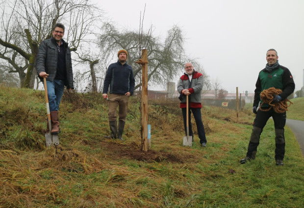 Der erste von 100 Hochtamm-Obstbäumen ist gepflanzt (v.L.n.R  Bürgermeister Klaus Thoma; Krischan Cords, Vorstand Main Streuobst Bienen gG; Erwin Scheiner, Vorsitzender Bund Naturschutz Kreisgruppe MSP; Julian Bruhn, stellv. Geschäftsführer Naturpark Spessart e.V.) Foto: Julian Bruhn (Selbstauslöser)