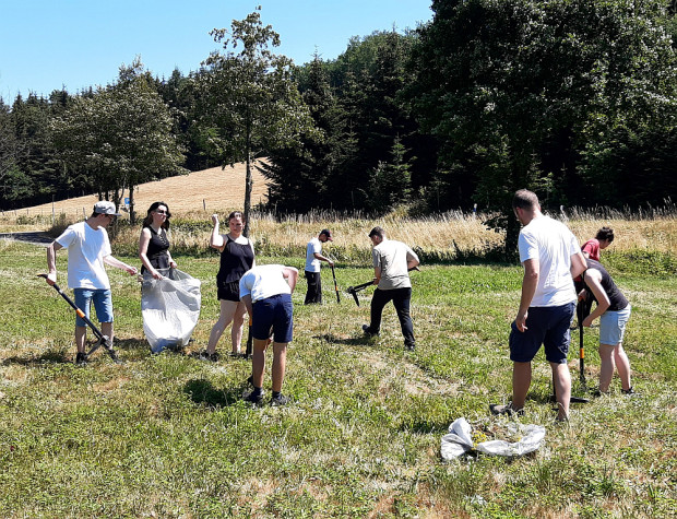 Schüler:innen der FOS/BOS im Einsatz (Foto: Christian Salomon)